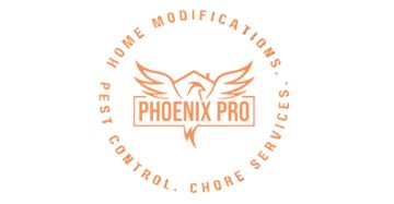 Phoenix Pro Business 